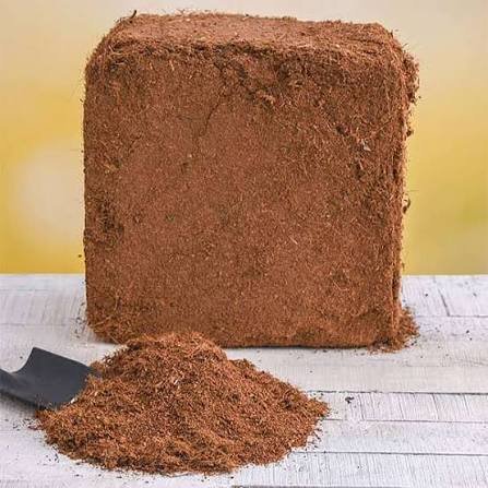 Understanding coco peat export specifications